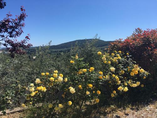 Apartamento Serendip Retreat Greece