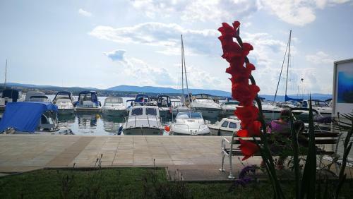 Apartman Filip