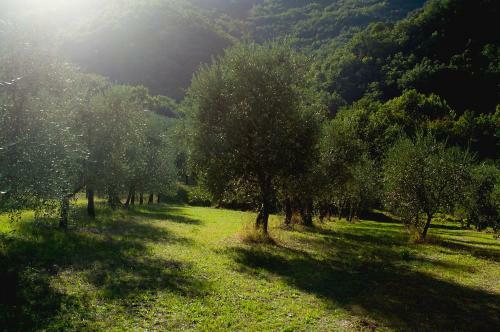 Bed & Breakfast Country Room Il Moro