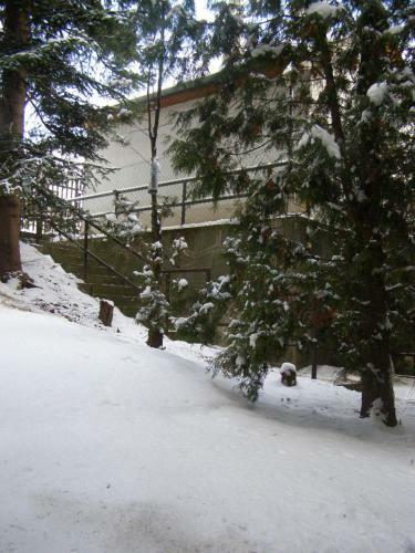 Apartamento Budakeszi Mag�nsz�ll�s