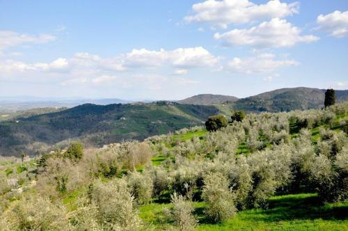 Agroturismo Agriturismo La Forra