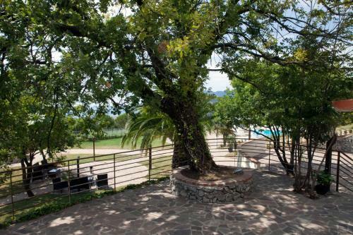 Bed & Breakfast Villa Sethar�