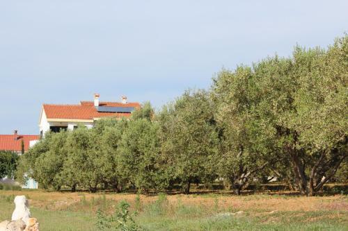 Vesna & Ante Apartments