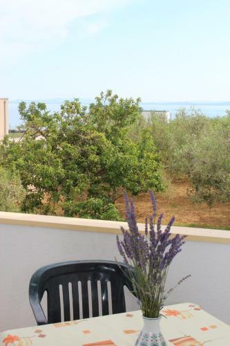 Vesna & Ante Apartments