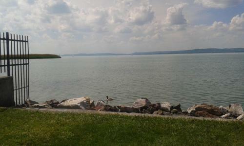 Hostal Hutter Vend�gh�z