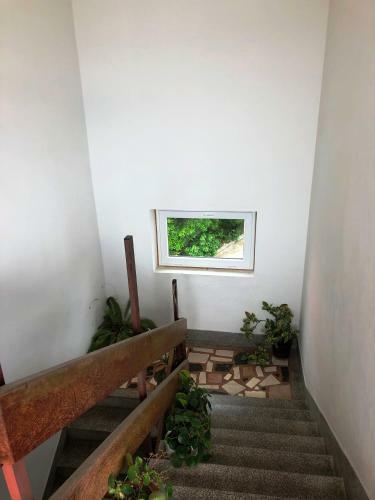 Apartmani Zorka