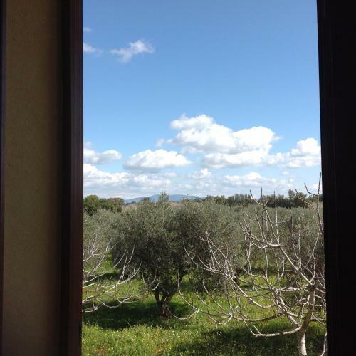 Apartamento Il Cuore Degli Ulivi