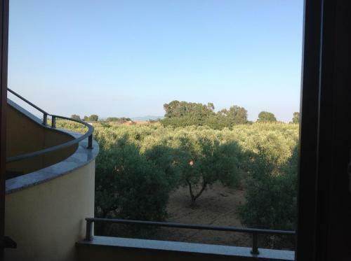 La Casa Degli Ulivi