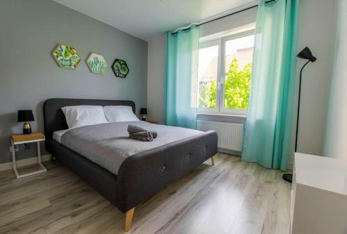 Apartament Mickiewicza