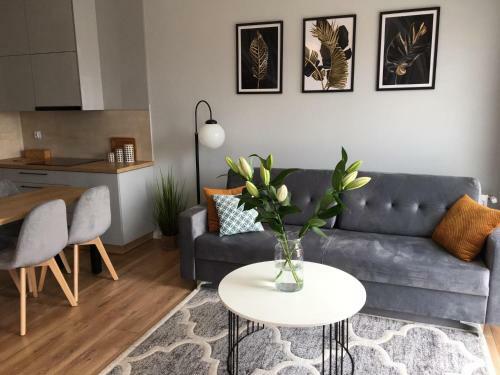 Apartament Queen