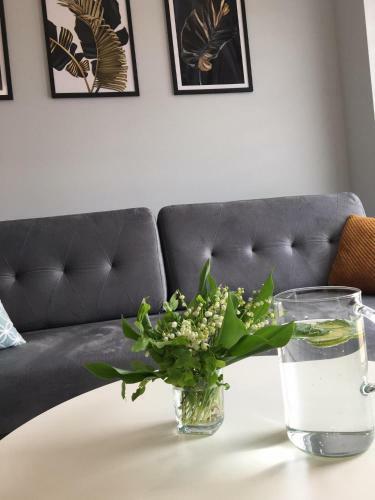 Apartament Queen