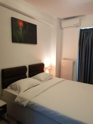 Apartament Mirobolant