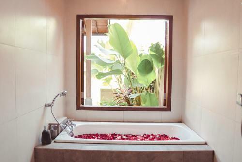 Bed & Breakfast Abinawa Hill
