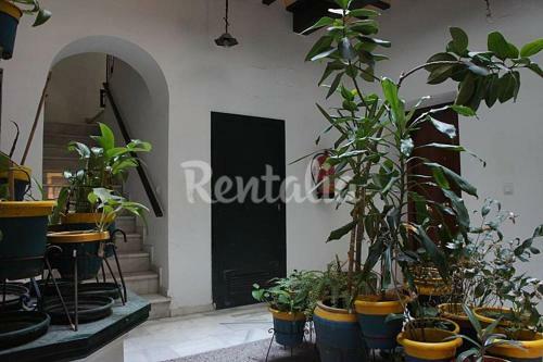 Apartamento �tico Cadiz Al Lado Playa La Caleta