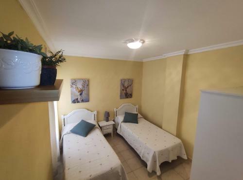 Apartamento Amplio Piso Junto A Playa Victoria