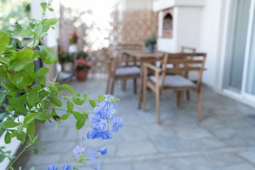 Melanthi Apartment