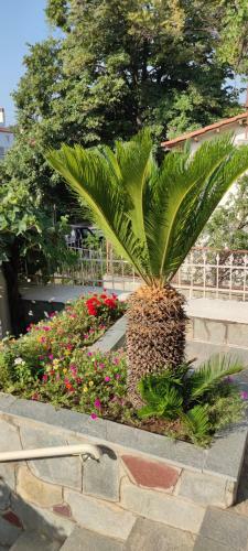 Apartamento Efthimis Rooms