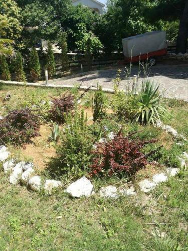 Apartmani Darko ?ilo