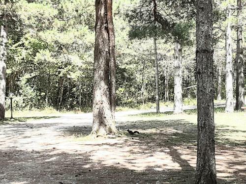 Hostal Apartments Nova Lika