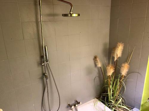 Apartamento Chaleureux Appartement Centre Ville Proche Gare.