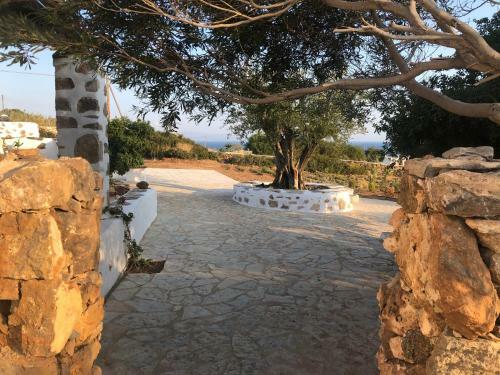 Eleonas Paros Villas, Near Lolantonis Beach