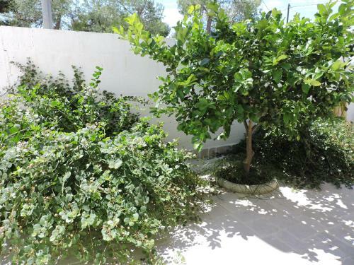 Bed & Breakfast Sogno Mediterraneo
