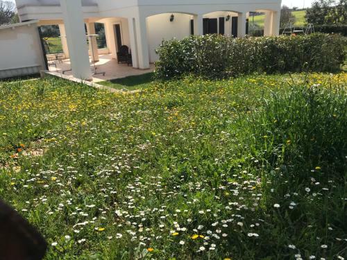 Apartamento Gesura
