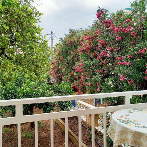 Apartamento Rois Appartments