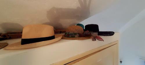 Apartamento Suite Amapola