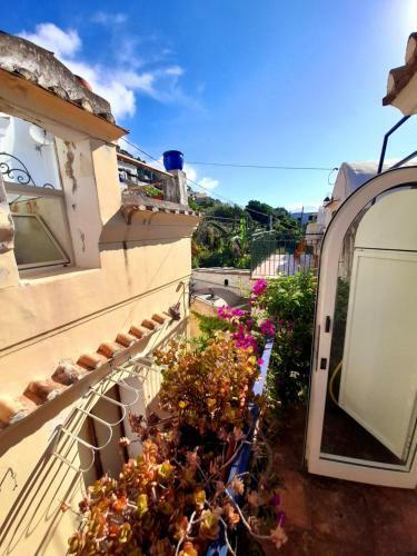 Apartamento Suite Amapola