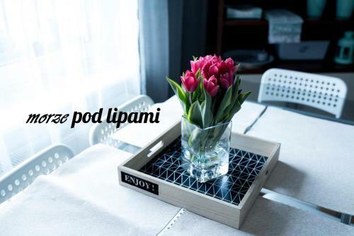 Apartamento Morze Pod Lipami
