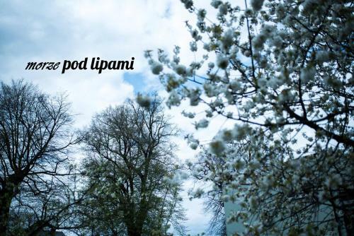 Apartamento Morze Pod Lipami