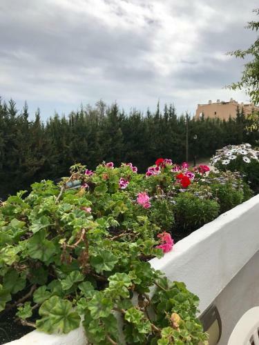 Casa Adosada En Estepona