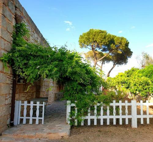 Agroturismo Masseria Triticum
