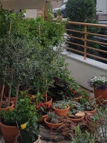 Apartamento Villa Leonidas