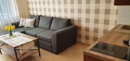 Apartamenty Fala