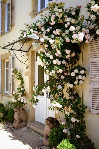 Bed & Breakfast Maison Marais