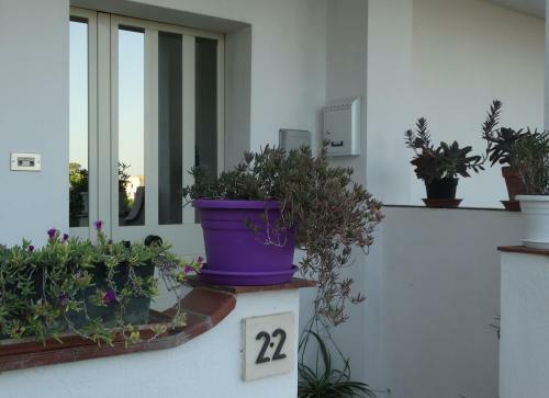 Sa Mendua E Sa Pruna Casa Al Mare