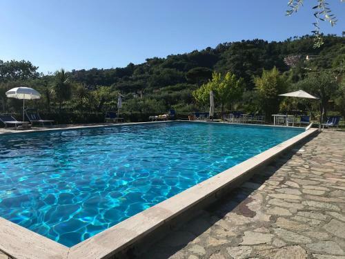 Apartamento La Casa Fra Gli Ulivi