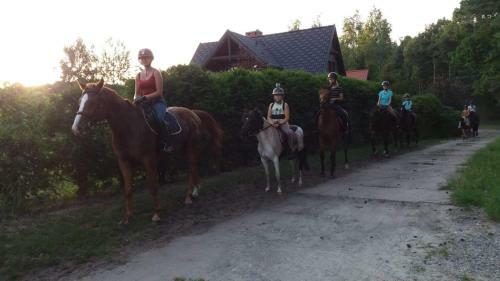 Tajemniczy Ogr�d