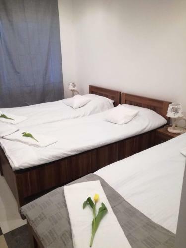 Apartamento Wiking