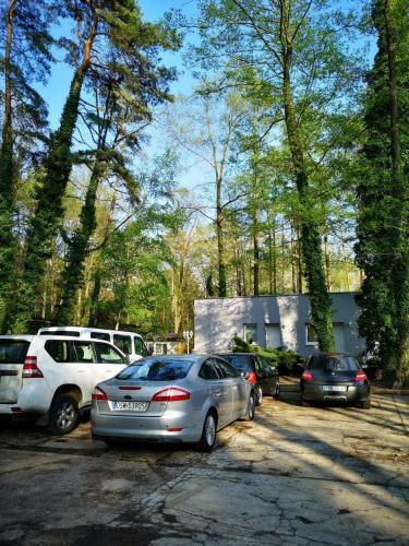 Apartamento Wiking