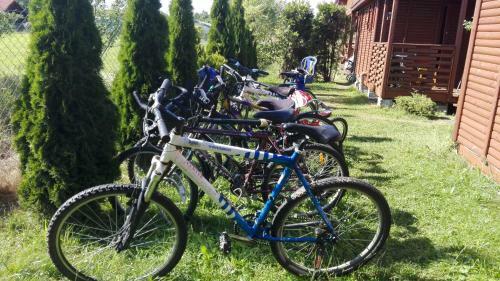 Lodge Domki Letniskowe Oaza Wicie