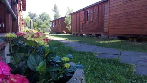 Lodge Domki Letniskowe Oaza Wicie