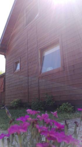 Lodge Domki Letniskowe Oaza Wicie