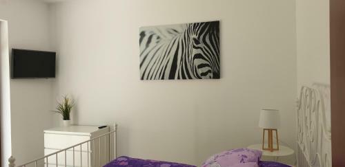 Apartamenty Wise?ka