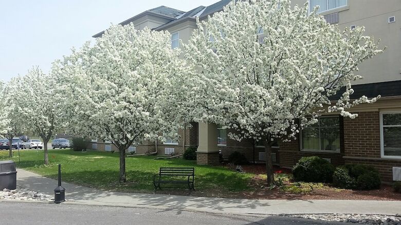 Hotel Days Inn Ottawa Airport