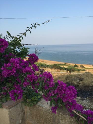 Hostal B&B Marine Park