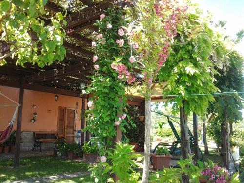 Bed & Breakfast Poggio La Grognola