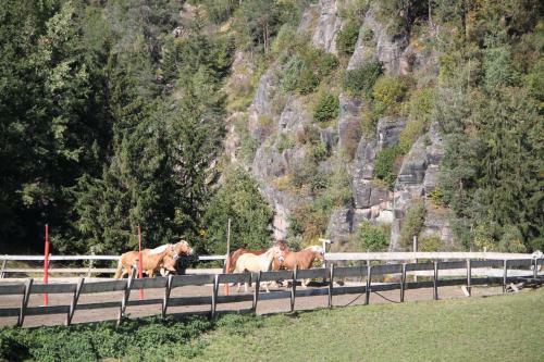 Apartamento Alpin Sport